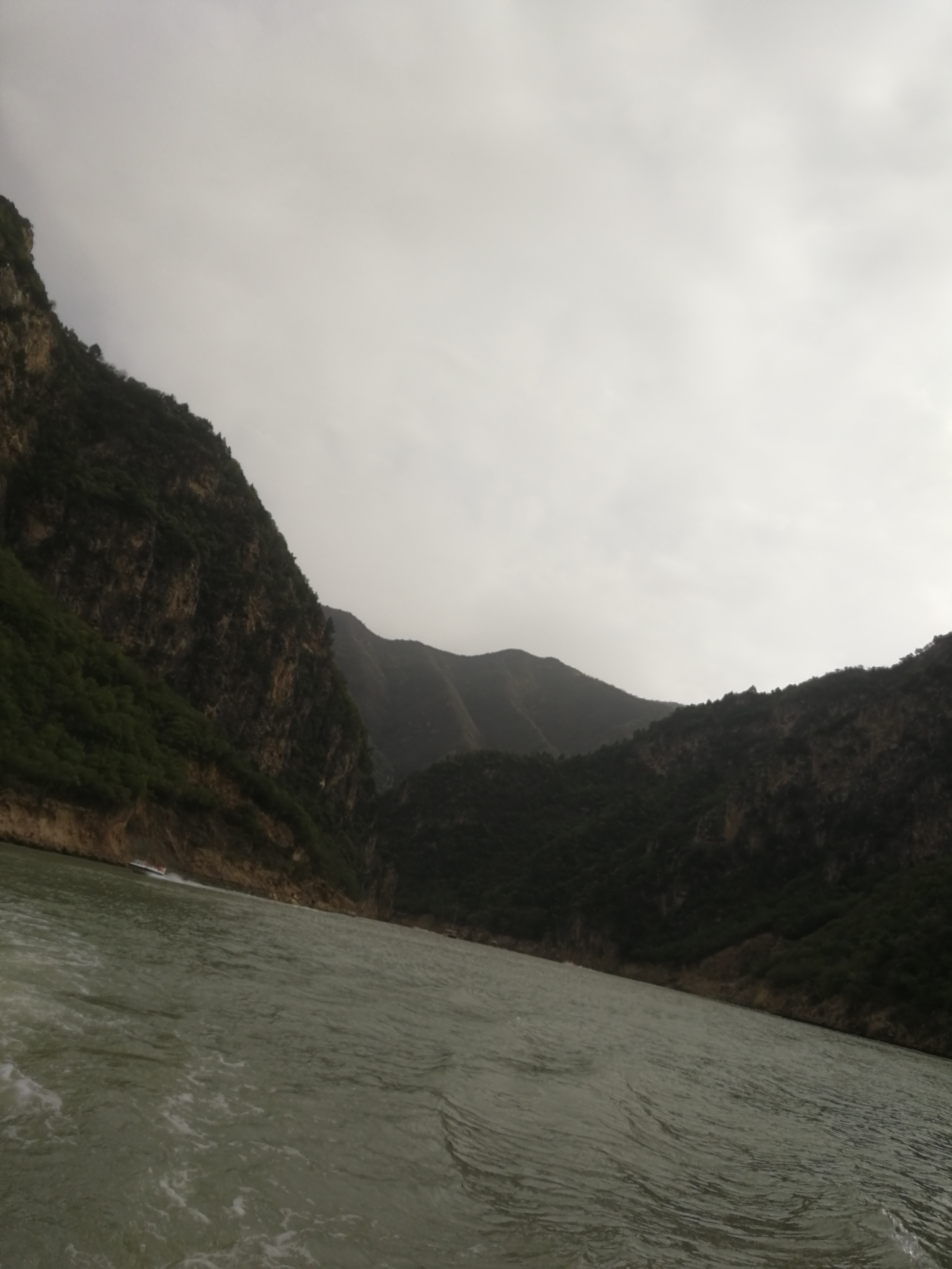全球 电视直播 免费在线观看平台