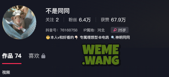 神明同同抖音世界到铁粉空间的魅力之旅