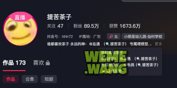 提苦茶子岛遇付费内容，真实与美好的双重绽放